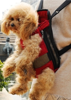 рюкзак для переноски собаки на спину